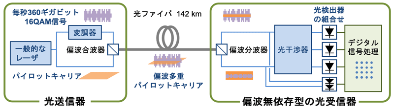 図5